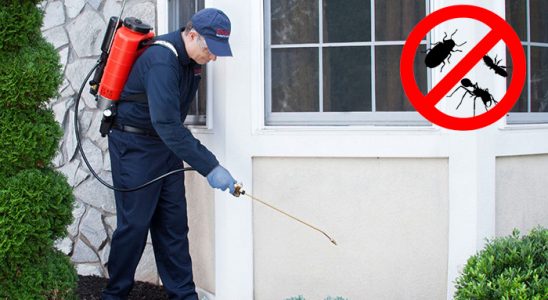 Uludere Dezenfeksiyon böcek ilaçlama ve haşere kontrolü — ilaclama-tr.com